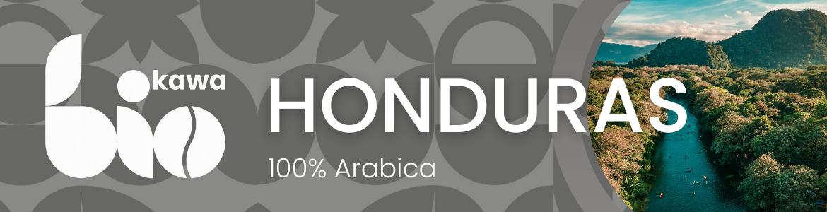 Kawa ziarnista BIO Honduras Organic – 100% Arabica 250 g baner-kawa-ziarnista-honduras-100arabica-bio-organic-quba-caffe