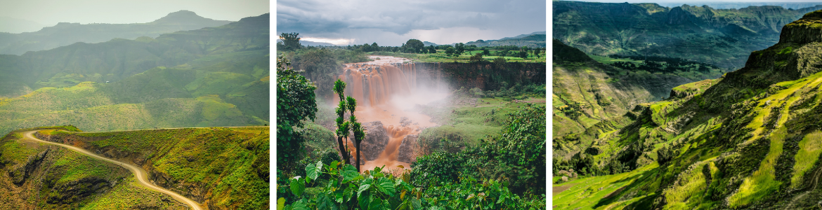  kawa-ziarnista-speciality-Ethiopia-Chelbesa-redmint-palarnia-kawy