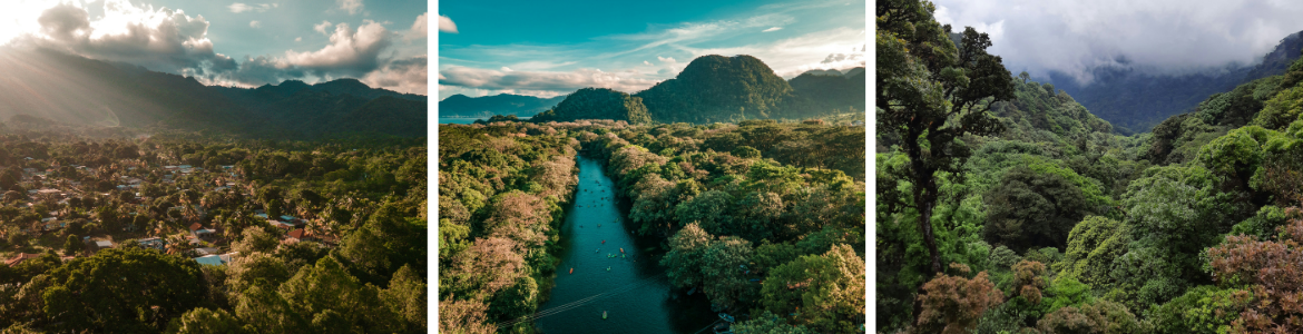 Malownicze krajobrazy Hondurasu – regiony upraw kawy speciality. Widok na górzyste tereny, rzeki i tropikalne lasy, w których dojrzewa kawa ziarnista Honduras Finca La Valentina z palarni RedMint